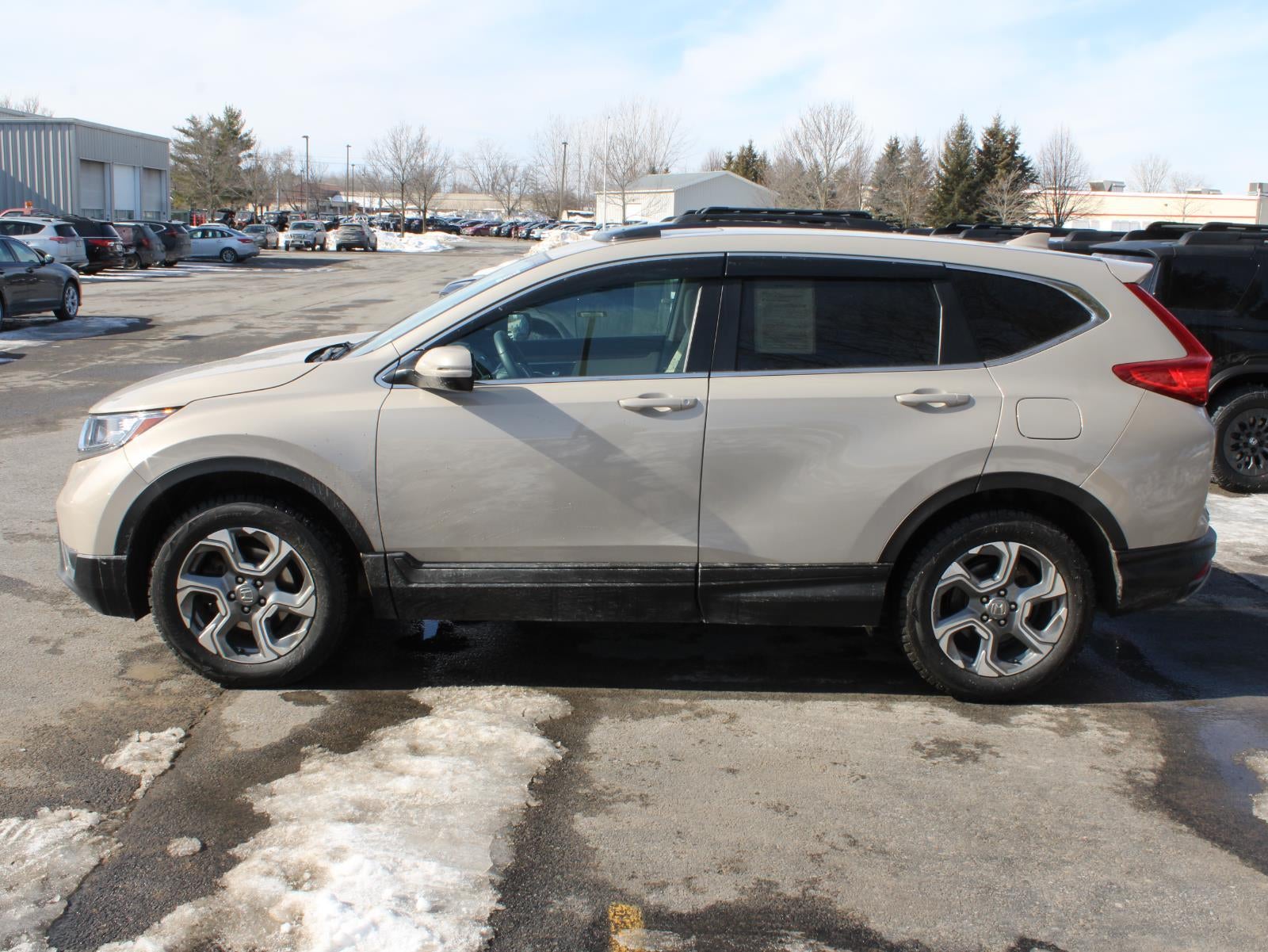 2019 Honda CR-V EX All Wheel Drive CVT