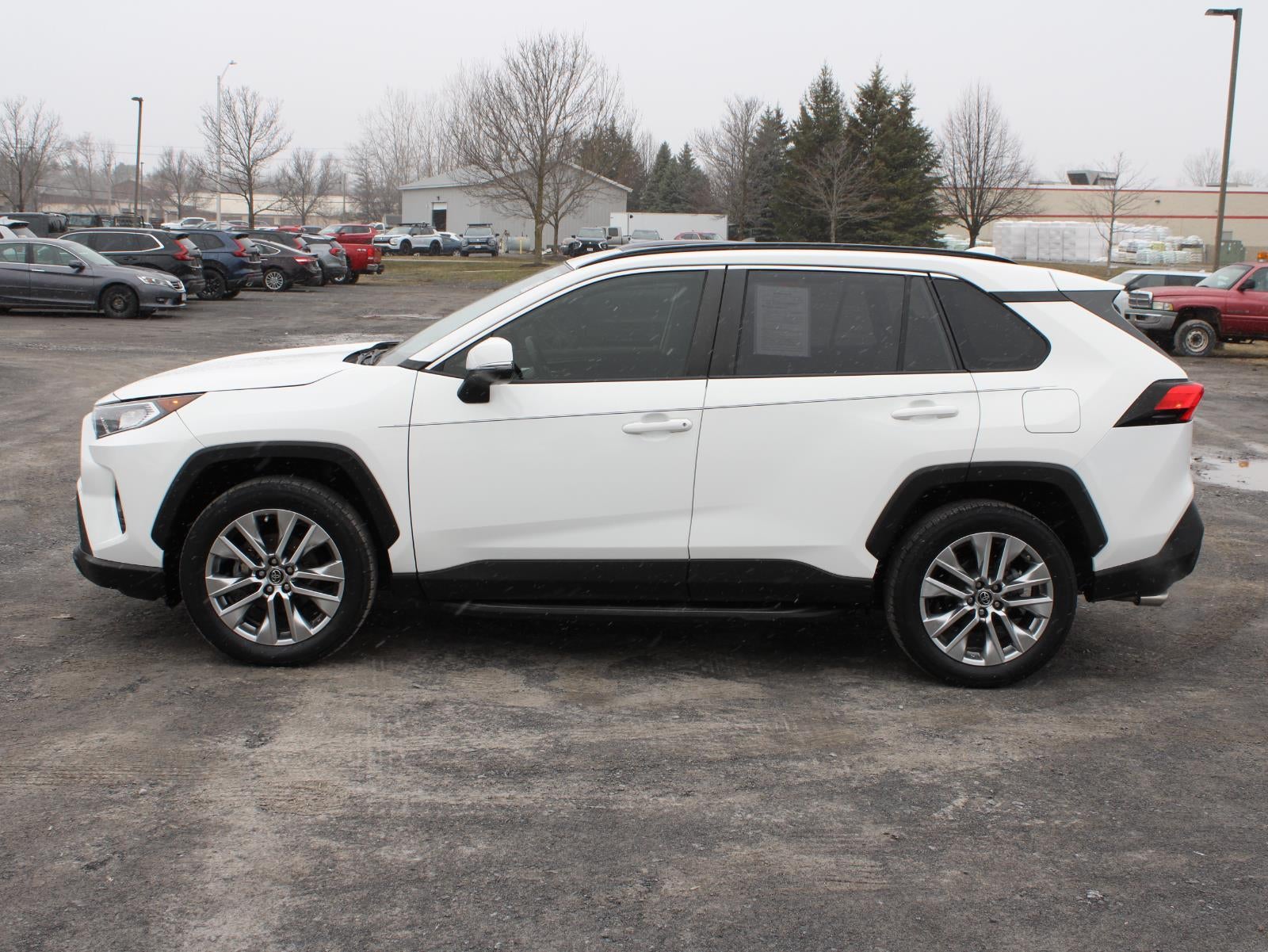 2019 Toyota RAV4 XLE Premium Front Wheel Drive Automatic