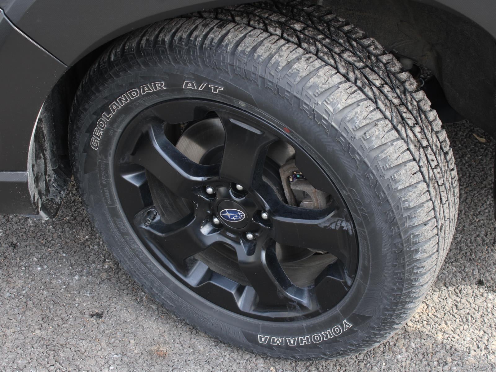 2023 Subaru Forester Wilderness